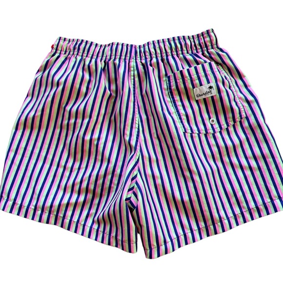 Boardies Striped Pink, Navy, Green Swim Trunks, Men’s Small - Picture 2 of 12